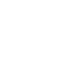 Houstory logo white